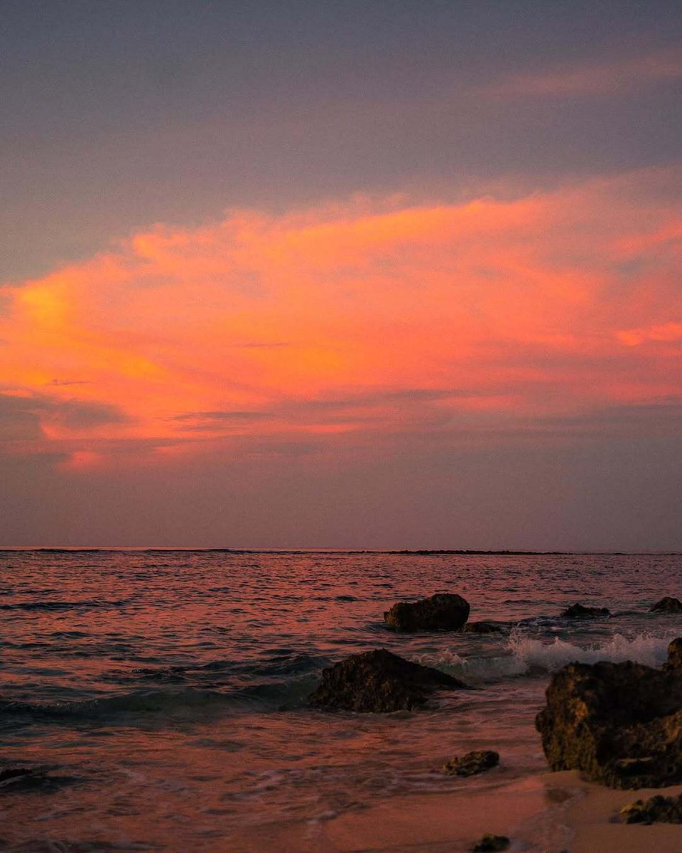 TheGuamGuide's tweet image. Listen to the voices of nature! 

📸 : @lostwithlukes

#guam #guamguide #beachvibes #sunset #relax #serene