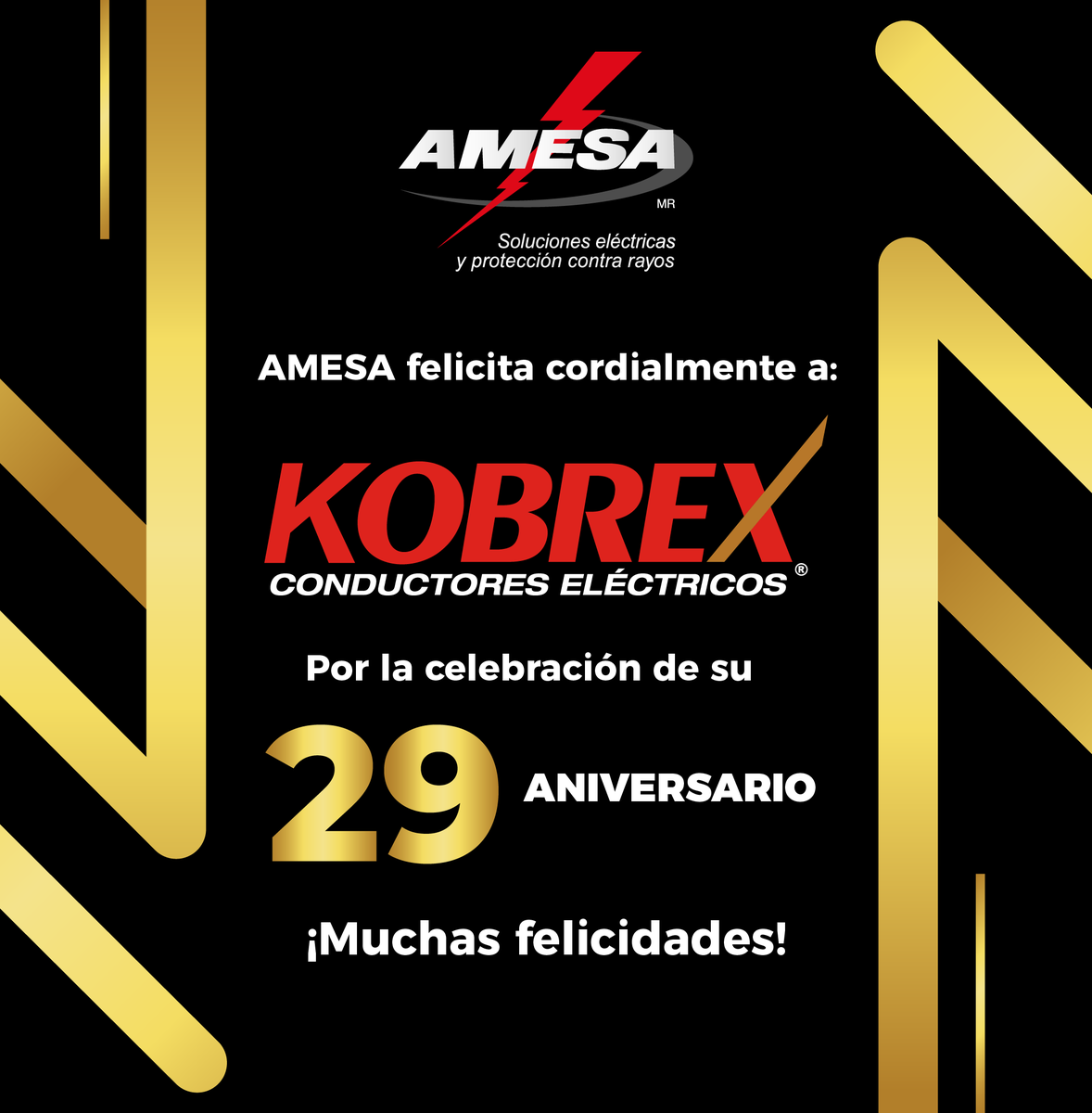 ¡Felicidades, Kobrex! 🥳

AMESA felicita a Kobrex por sus 29 años de éxito, deseando que sean muchos más y agradeciendo el contar con un socio comercial como ustedes.
#Felicidades
