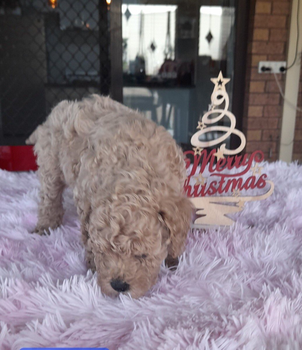 Russ coventry tweet media