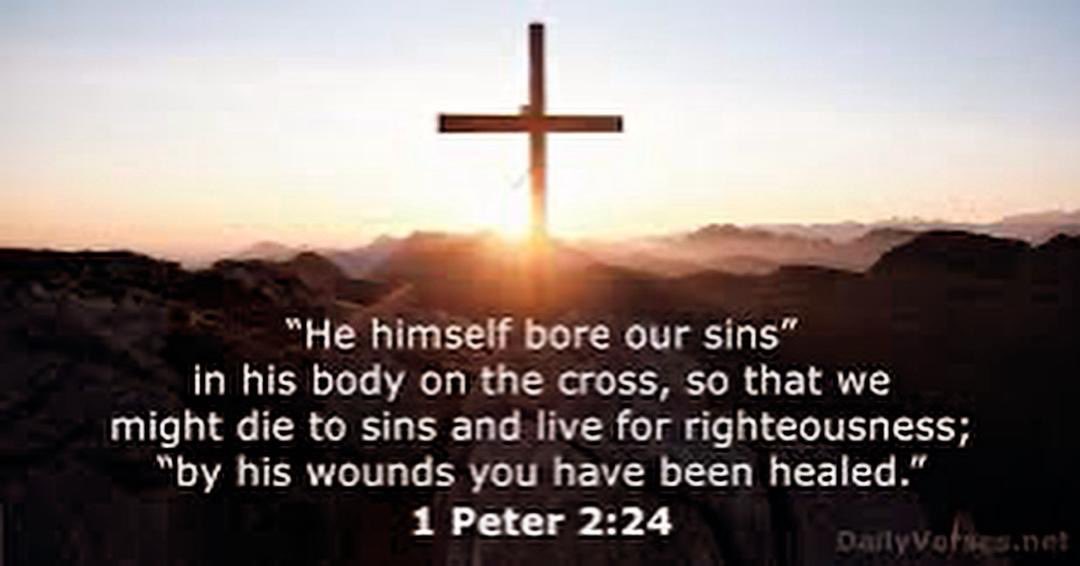 Modoujallo55837's tweet image. ✝️✝️