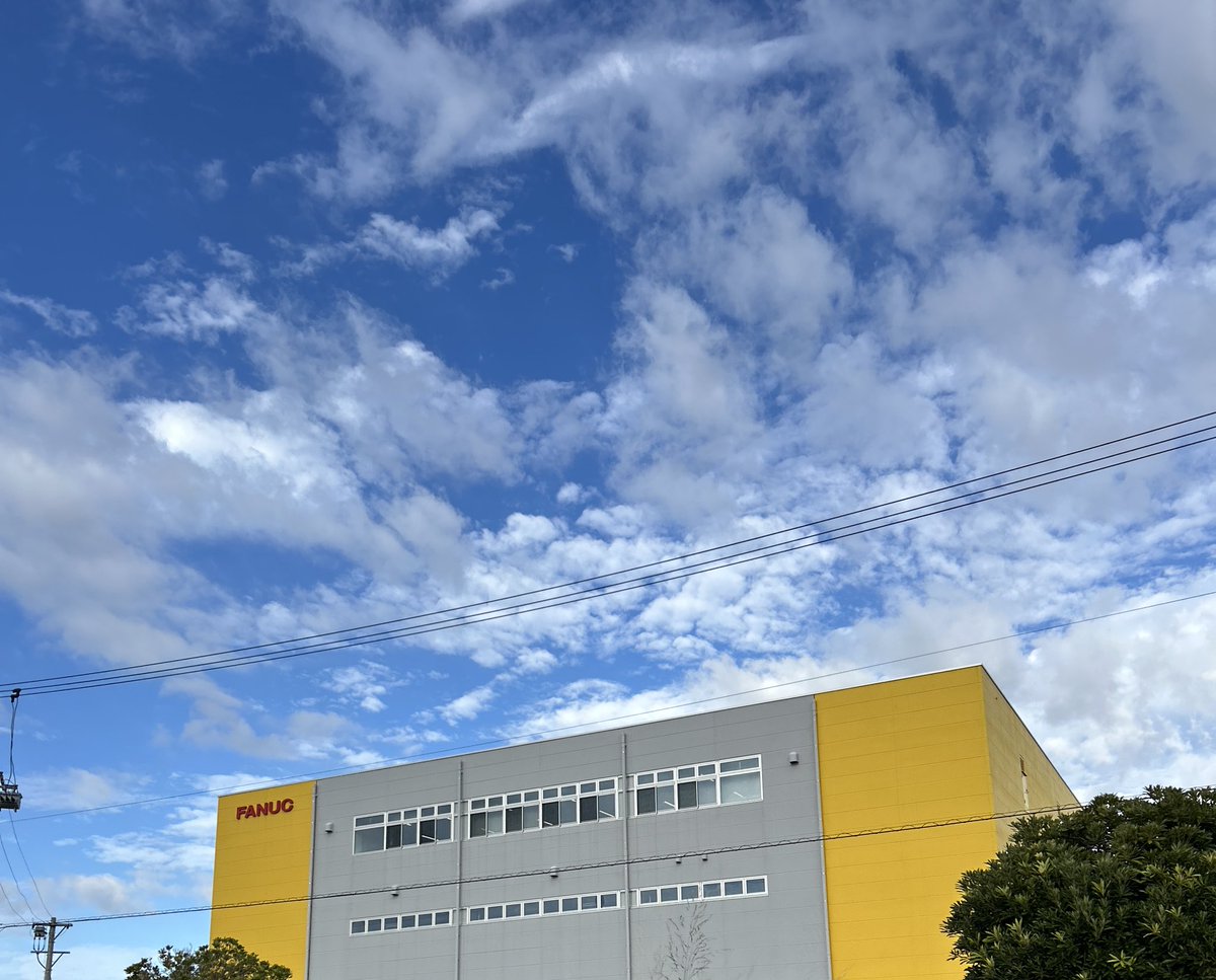 nokogiriyane's tweet image. 今日もそして黄色い。

私のラッキーカラー。ただし全然身に付ける事はありません。なので、見つける度に写真を撮ります。