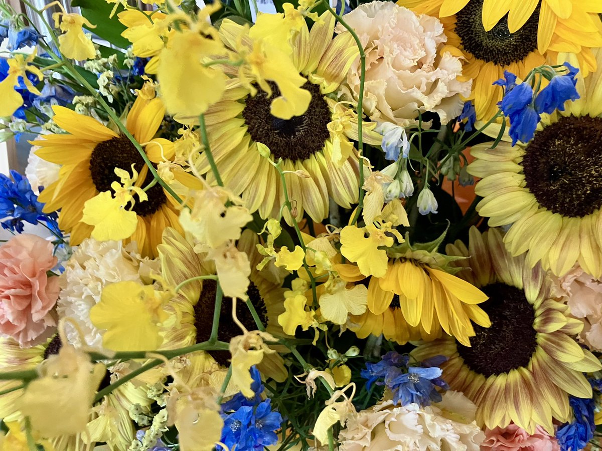 にこにこちゃん🪽☆🏛K & P🤍🎄 on X