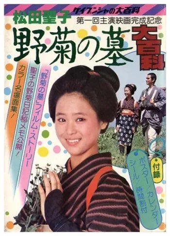 映画『野菊の墓』だけで、どうやって255ページももたせているのか