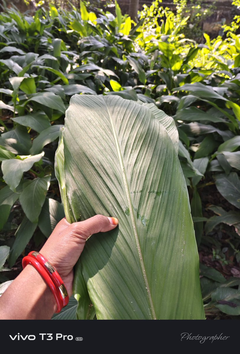 ଶୁଭ ପ୍ରଥମାଷ୍ଟମୀ