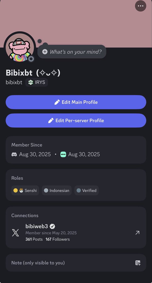 bibiweb3's tweet image. Hirys to all @irys_xyz shugo, senshi, shihan, ambassador and vibe coders.