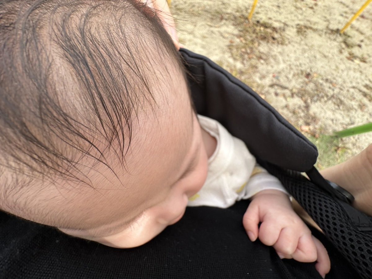 osushing's tweet image. 公園でお散歩してもらってる。
最近は抱っこひもにも慣れてきたよ( ˙꒳​˙  )