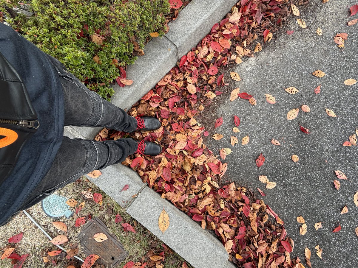 sasukoimama's tweet image. 合流して一緒にランチ
#豊郷小学校旧校舎群