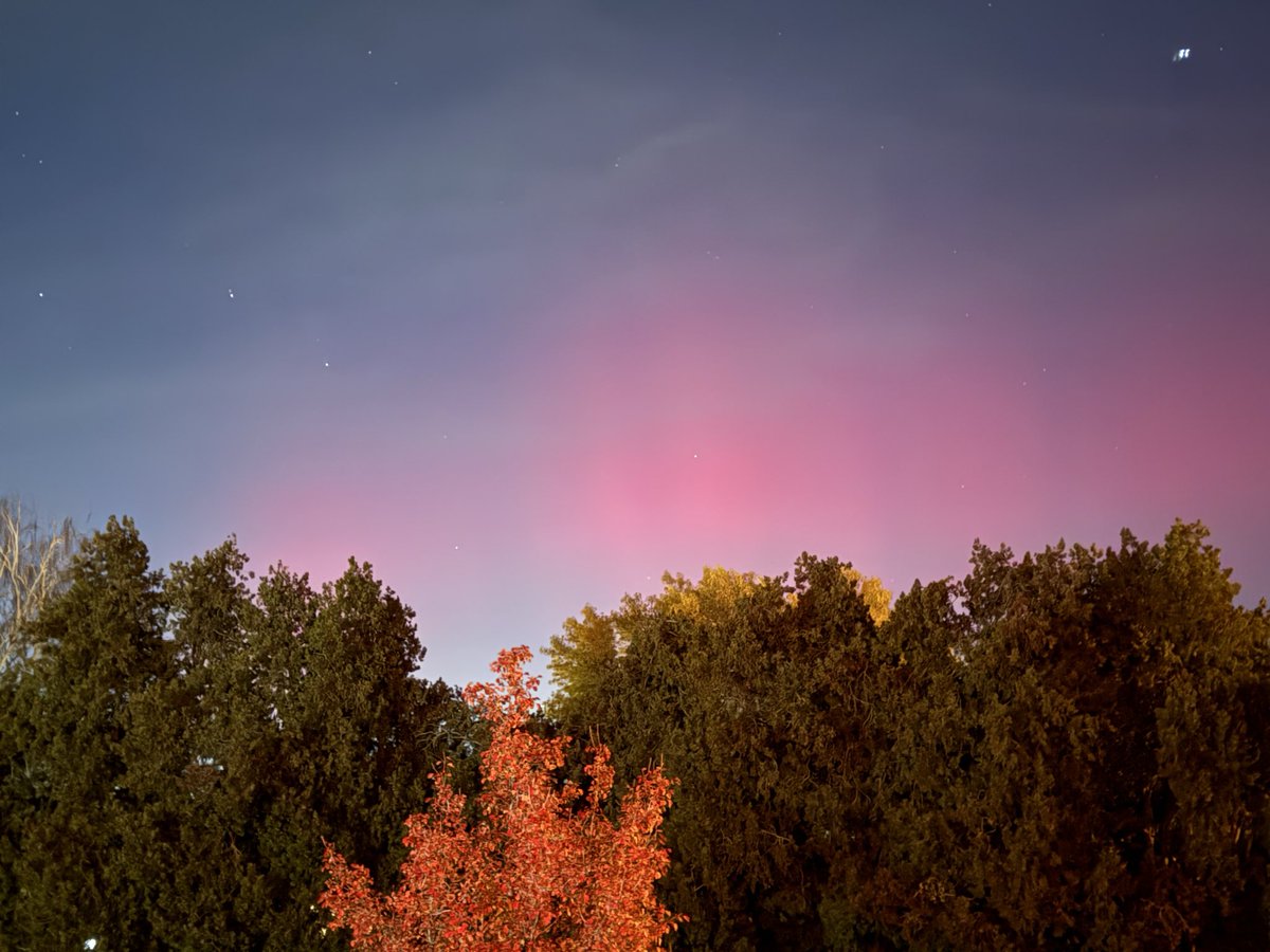 MelanieOlson's tweet photo. I’ve been chasing them in every northern state in the US &amp; finally saw them from my own front porch in northern Utah. 🥺 #aurora #borealis #auroraborealis #northernlights https://t.co/Zvw9MImlzC