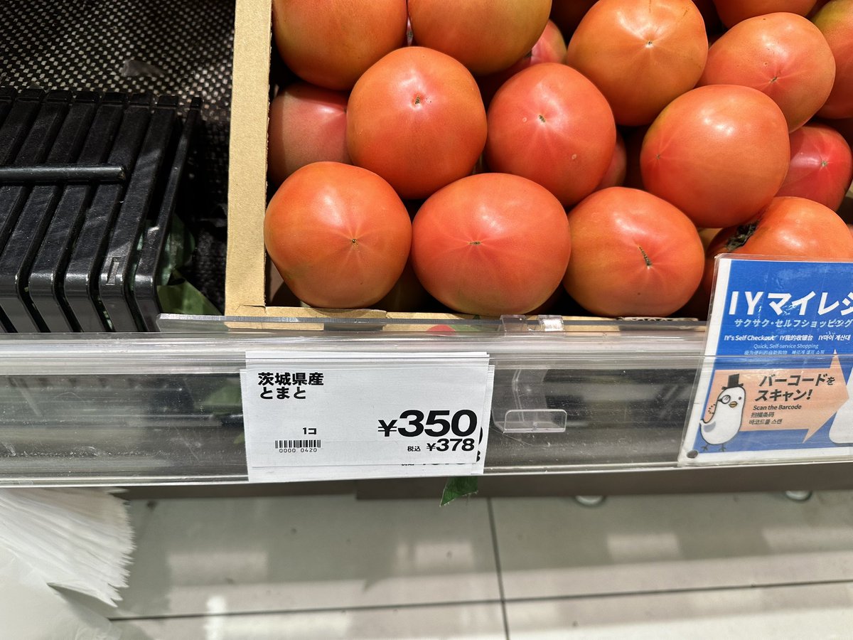 vifsWaSddrCitsk's tweet image. 夕飯にトマト食おうと思ったけど高過ぎるから食うのやめた