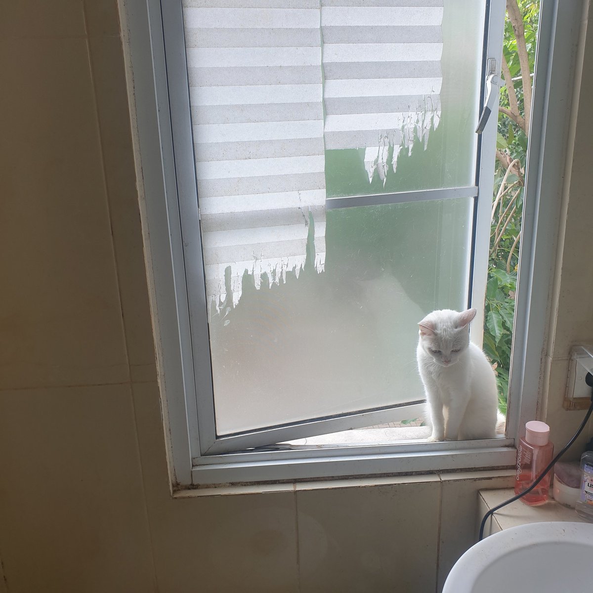 マルーンR (@maroonr19) on Twitter photo 