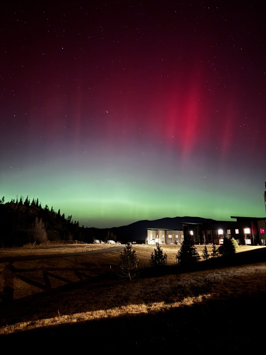 kimura 🏴‍☠️ tweet media