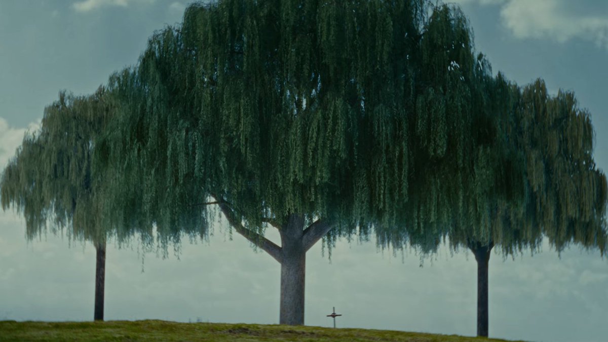 𝑬𝒏𝒍𝒂𝒛𝒂𝒓𝒏𝒐𝒔 𝒉𝒂𝒔𝒕𝒂 𝒆𝒍 𝒇𝒊𝒏 𝒂𝒔𝒄𝒆𝒏𝒅𝒆𝒓 𝒋𝒖𝒏𝒕𝒐