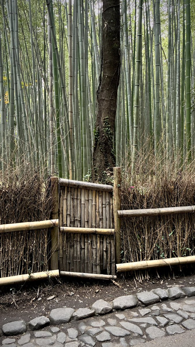 Emre-İssa Özpınar (@issaozpinar) on Twitter photo 