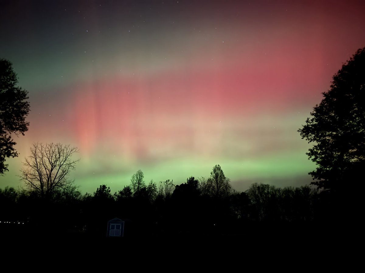 Buddy Berry tweet media