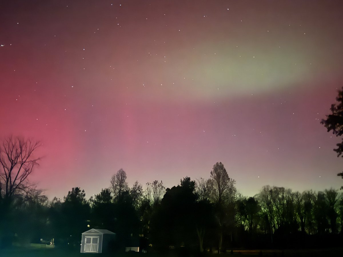 Buddy Berry tweet media