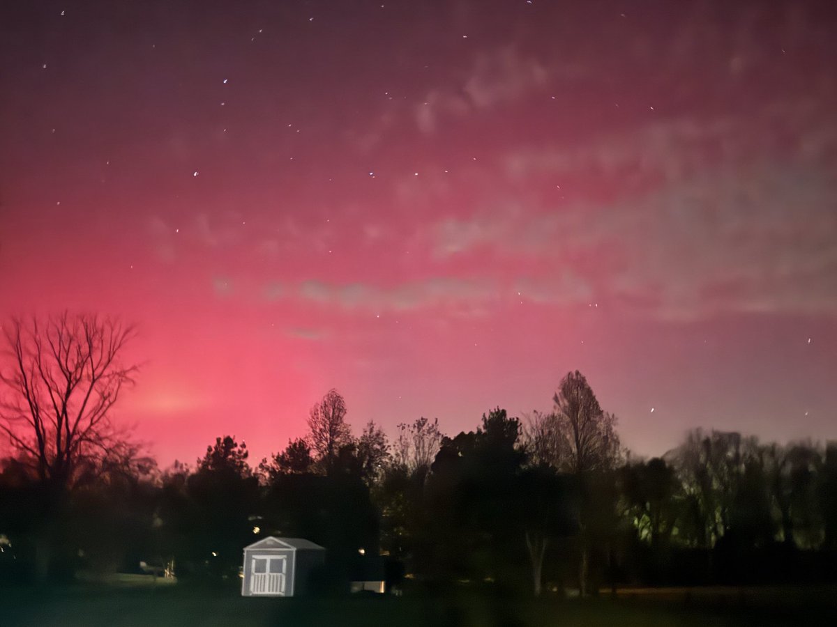 Buddy Berry tweet media