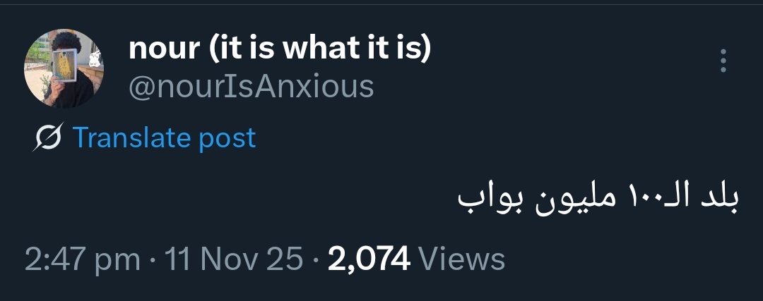 potatofried999's tweet image. 