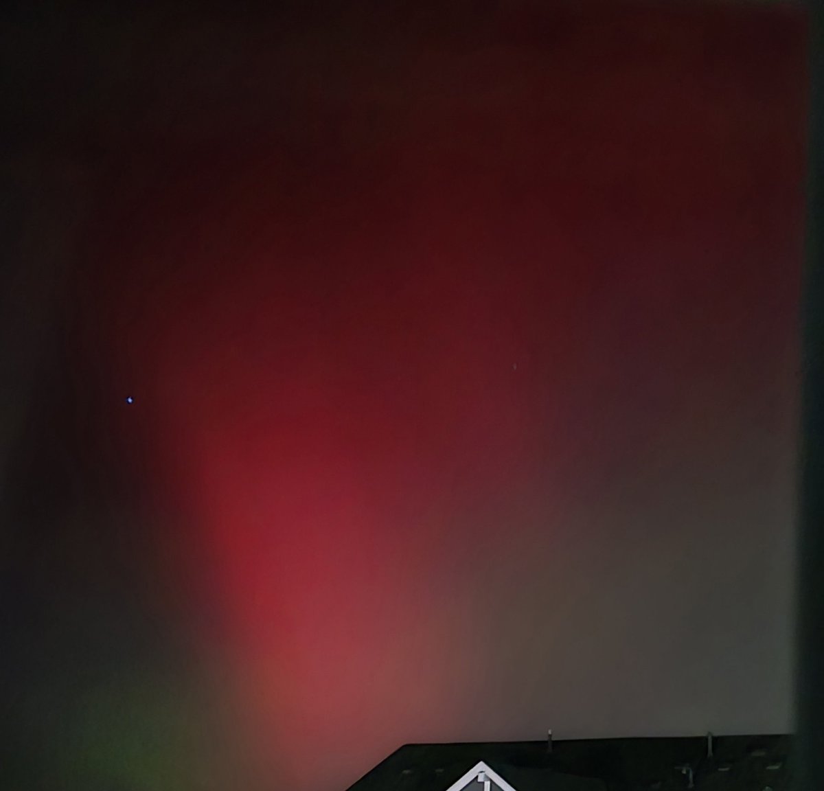 Elizabeth Lang tweet media