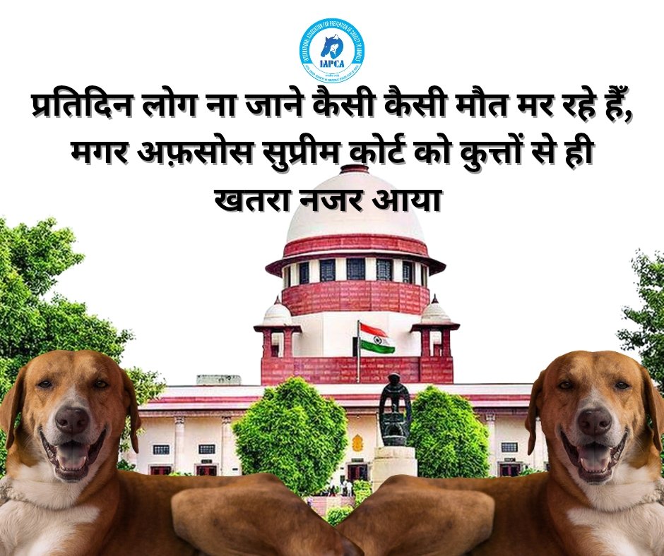 vikendrabudaun's tweet photo. सुप्रीम कोर्ट का फैसला शर्मनाक और अमानवीय है, लोगों को मरने से नहीं रोक पाओगे, जिसकी मौत जैसे लिखी है वो होनी तय है।
@PMOIndia @AmitShah @BJP4India @Manekagandhibjp
#savestraydogsofindia
#savedogs
#fightfordogs
#compassion https://t.co/PTDoJthvHB