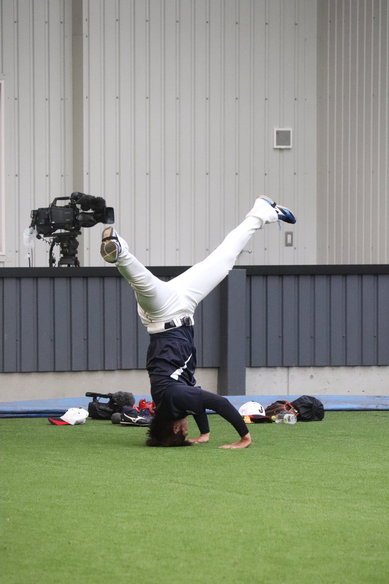 #今日の侍ジャパンショット
#侍ジャパン
#坂本誠志郎 
#寒くてこじんまり
#小園海斗
#森下翔太
#高橋宏斗
#倒立うますぎ