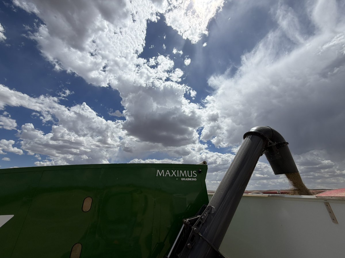 Getting a few spots of rain - just enough to make some dust stick.