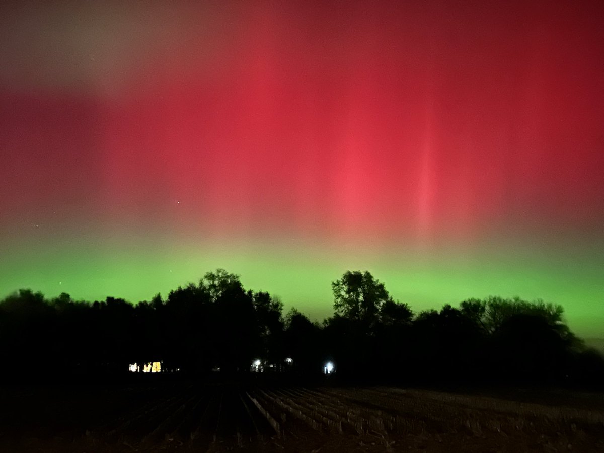 Brian Cameron tweet media