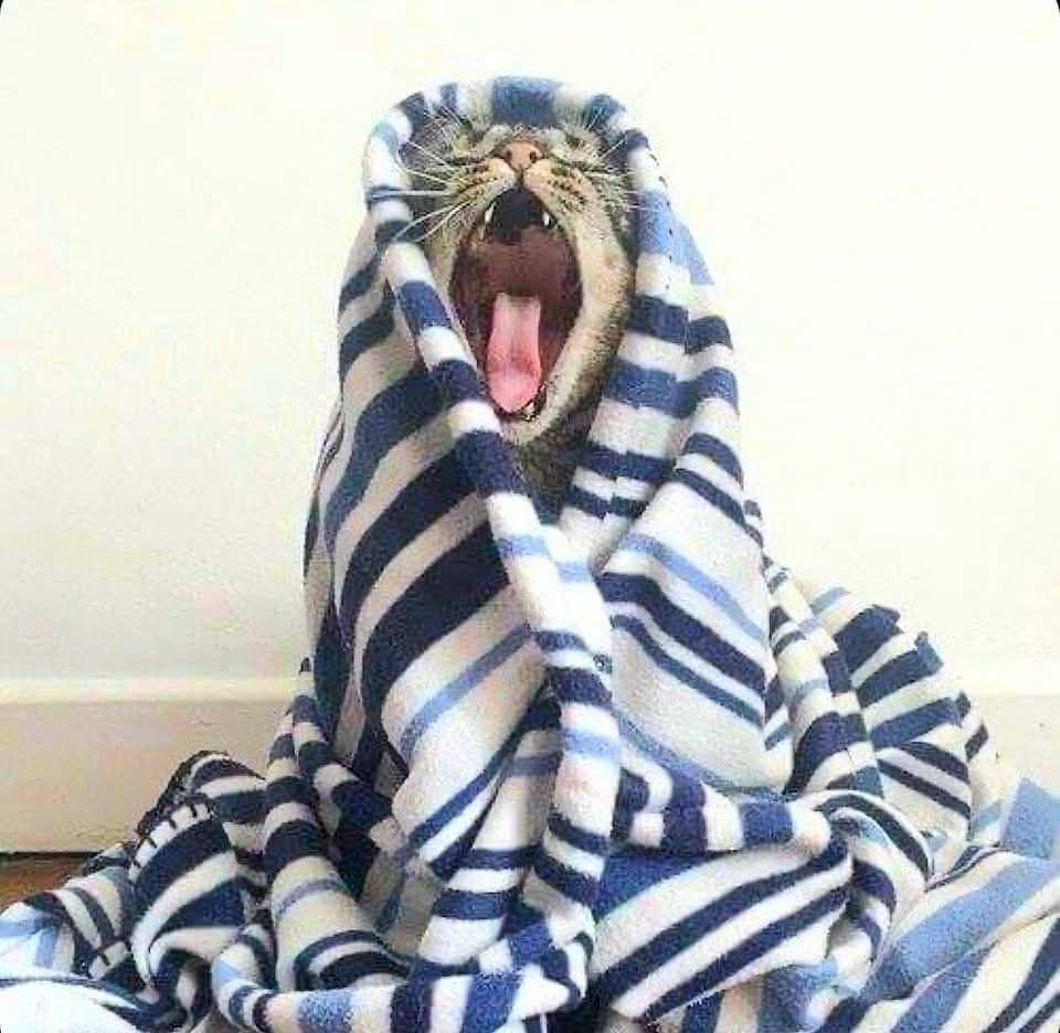 Guten Morgen ihr Lieben 😘☕️⏰️☕️⏰️☕️
Viel zu früh klingelt der Wecker...🙈
Egal...heute ist ein schöner Tag 👌🥰😎🎵
Habe nach Feierabend ein Date ..🤭😇 mal schauen 👀
Euch wünsche ich einen wunderschönen Wochen Teiler 🙋‍♀️🥰😘