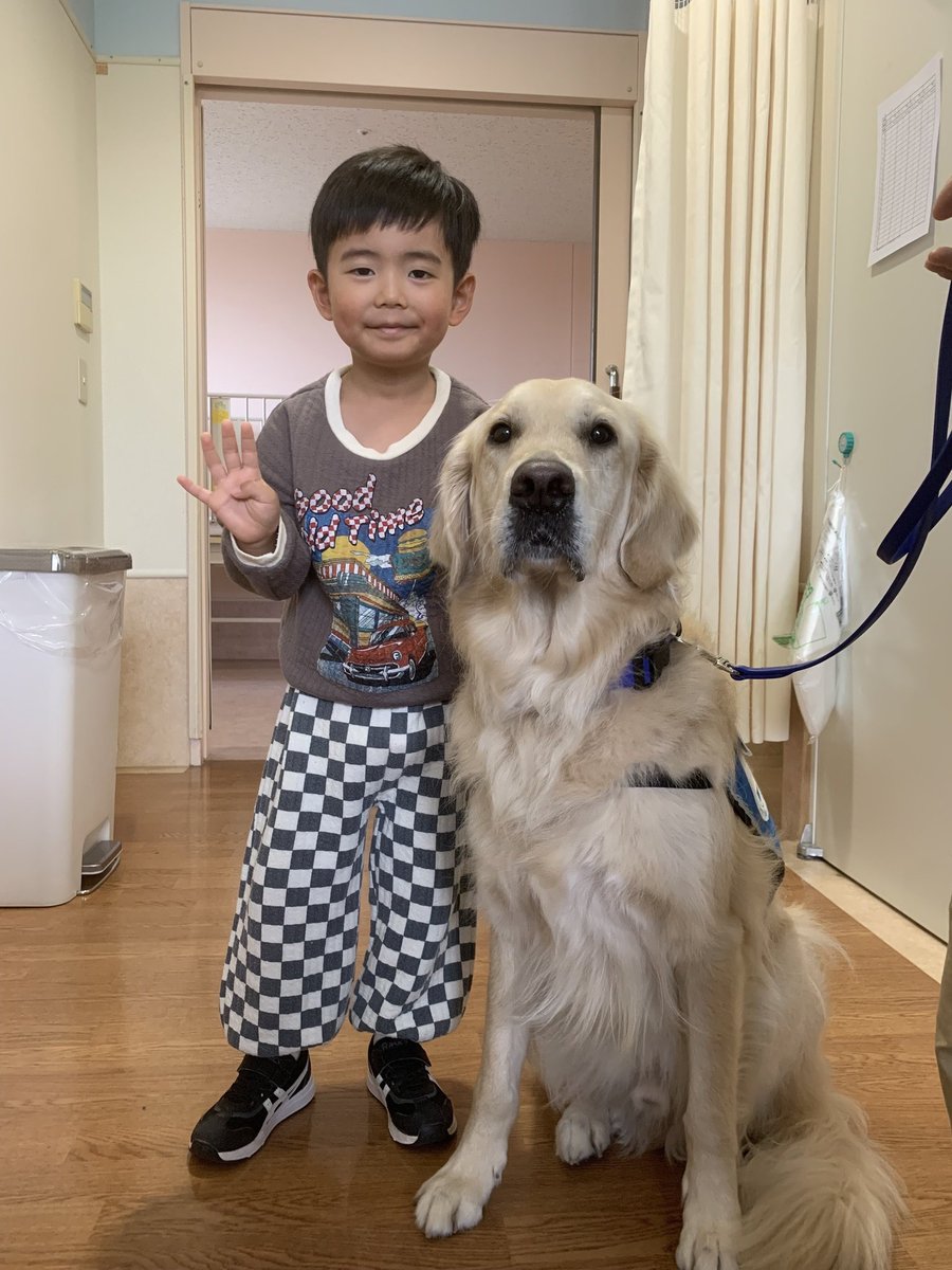 ファシリティドッグのタイやでー。
手術を頑張ったお友だち。
術後、ボクが傍に行って、「いっぱいいっぱい頑張ってるね。」って伝えたら、お友だちが笑ってくれて、うれしかったな。
先生から「歩いていいよ」の許可が出て初めていっしょに遊んだよ。ボクと遊んでいる間は、痛みも少し和らいだかな？