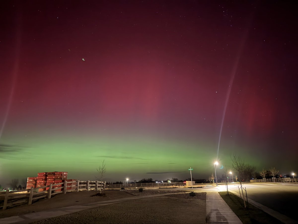 Dr Hector Frisbie © tweet media