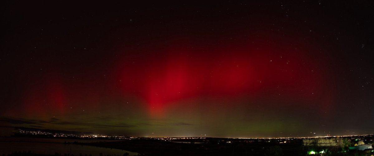 Dr Hector Frisbie © tweet media