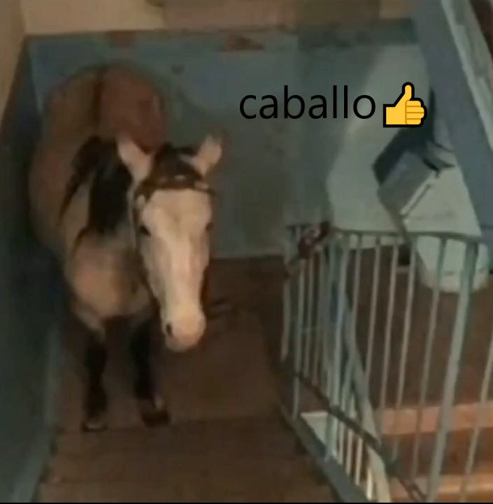 Sabes que relación hay entre chile y el shampoo???🤔
Que si te caen en el ojo no podrás ver el increíble stream de <a href="/Shuga_Sukaru/">Shuga Sukaru 💀🎀 Vtuber</a> hoy... así como yo!!!👁️🫦👁️
Ando a medio ojo abierto pero tu que si puedes ver no te lo pierdas🤯👍
Ya veremos dijo el ciego!!!
twitch.tv/shugasukaru