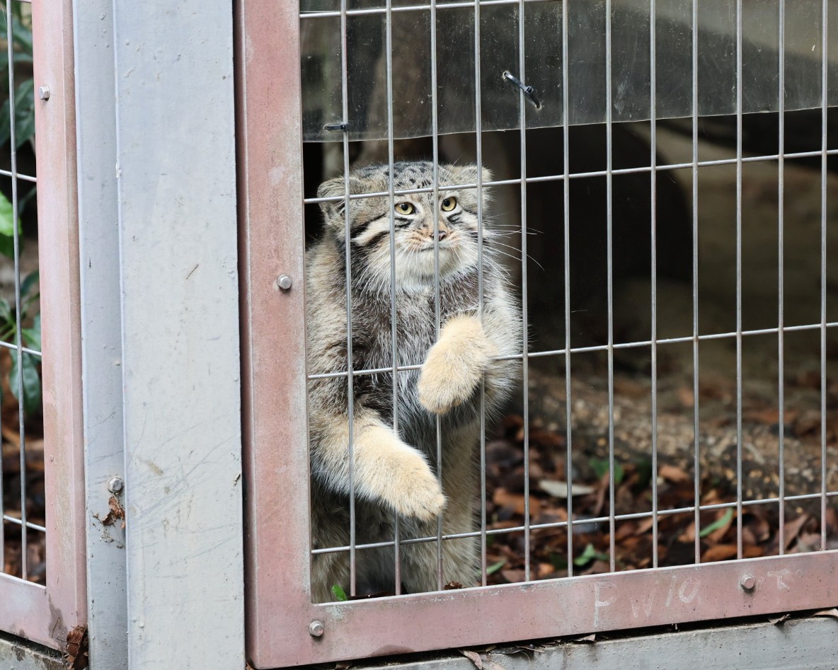 The second pic reminds me of those retired guys who hang out