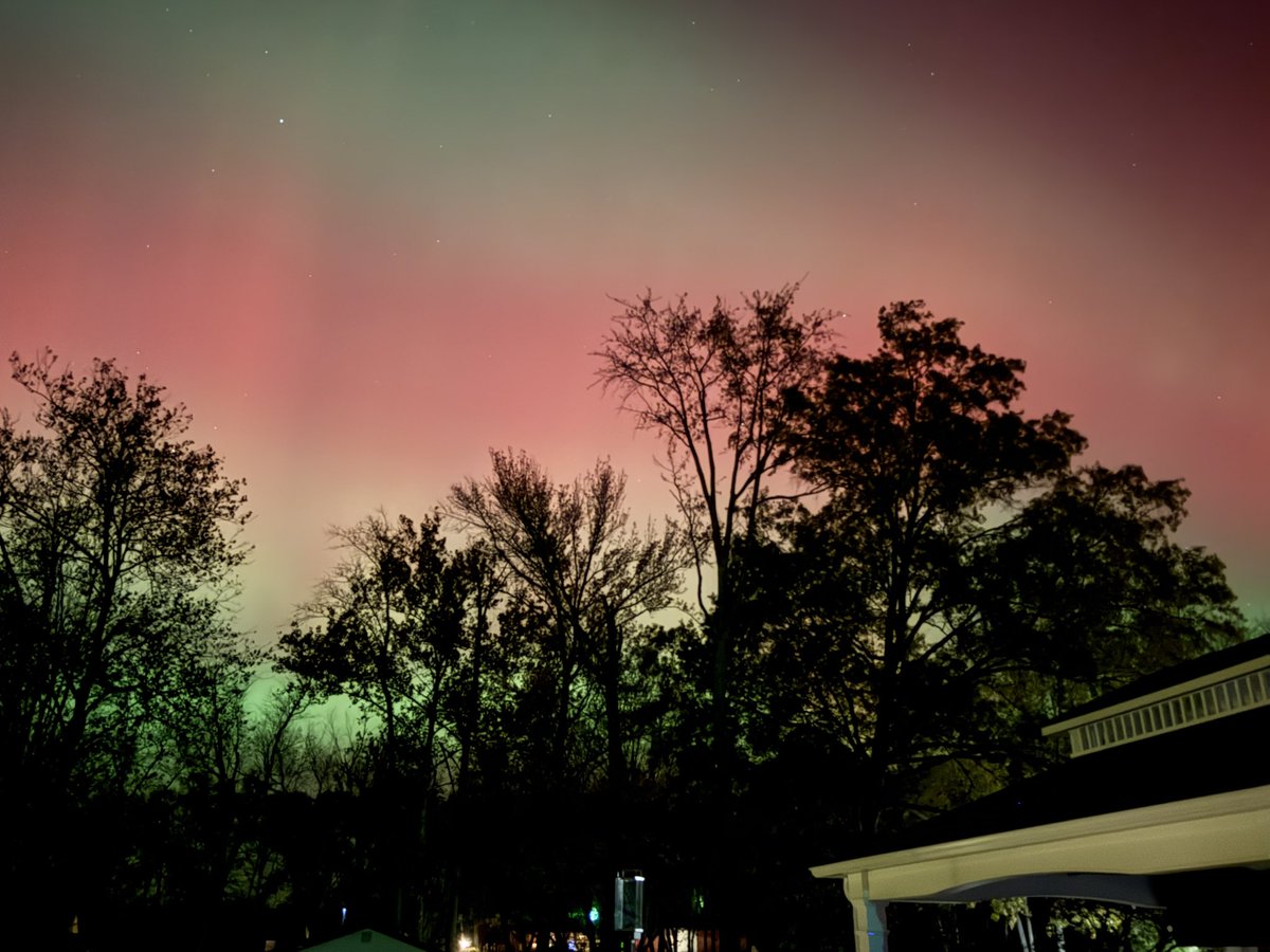 Tanja Krup tweet media