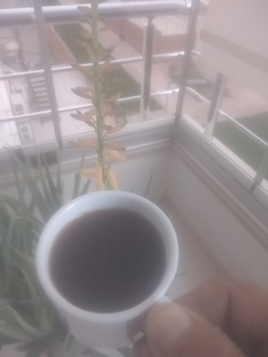 Günümüz aydın, gönlümüz aydın olsun.