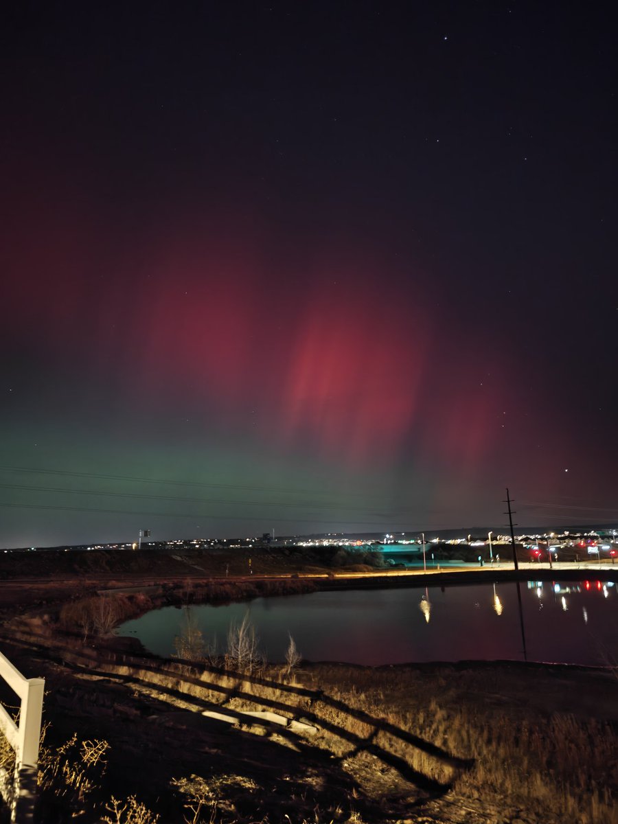 plzsendpie's tweet image. wow