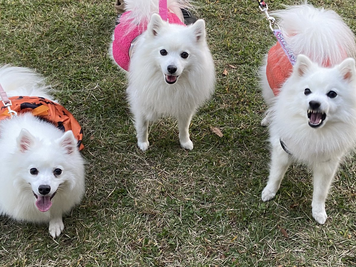 ひまり ひまり (@HIMARI3040) / Posts / X