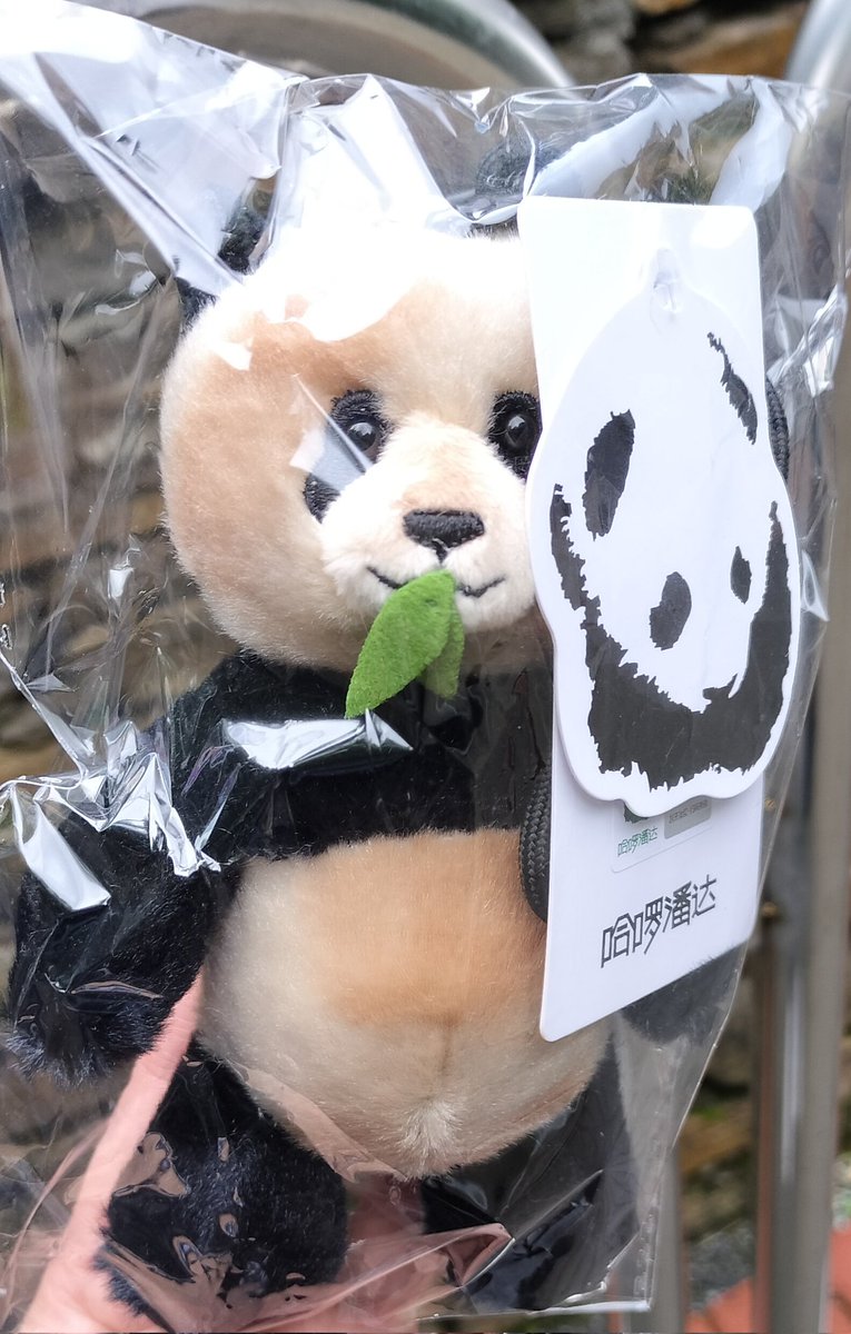 こひろ＠こぎん刺しのテディベア作家 kogin＊bear styl (@kurosuke3796