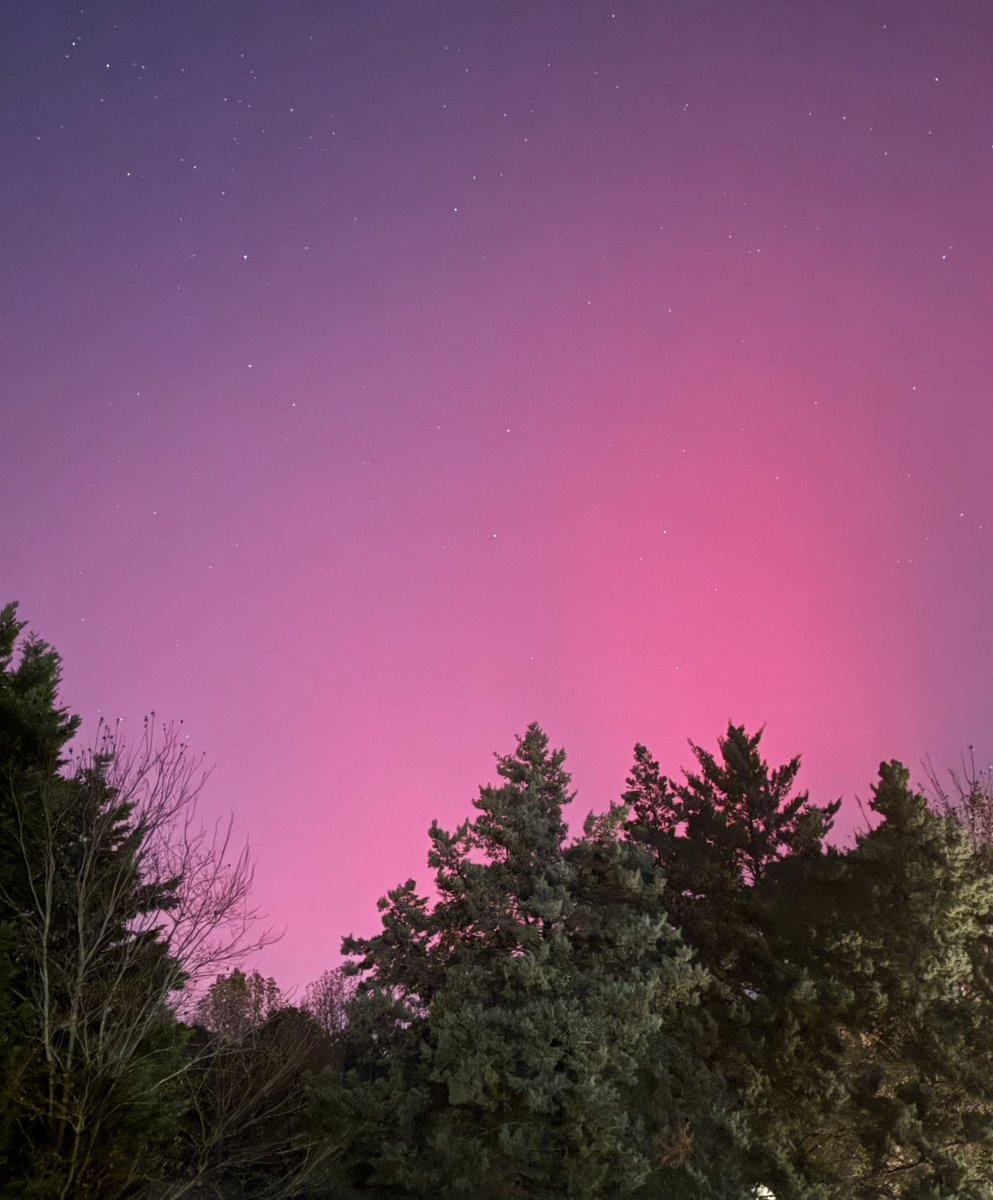 Wanderlusting Travel Bug tweet media