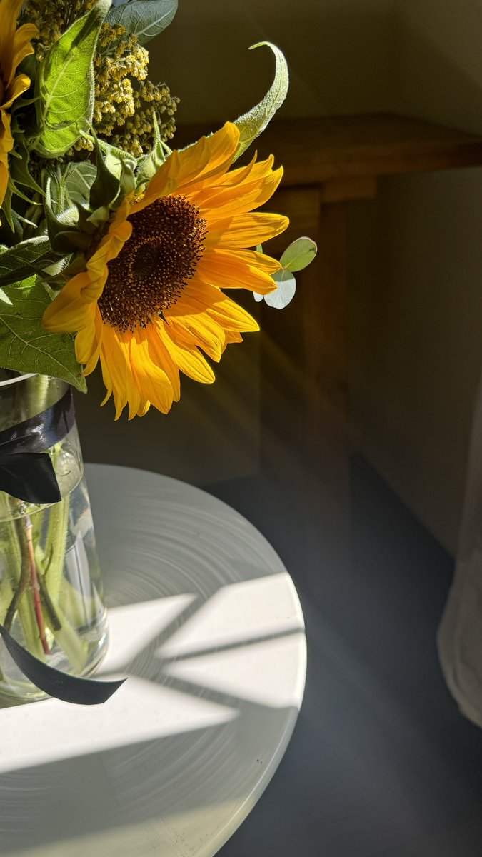 dandelion_g_f's tweet photo. " عبّادُ الشمسِ يميل إلى شمسهِ
ولكلٌ مِنا يا شَمسي شَمسهُ " 

🌻🫂 https://t.co/nGplddU27Y