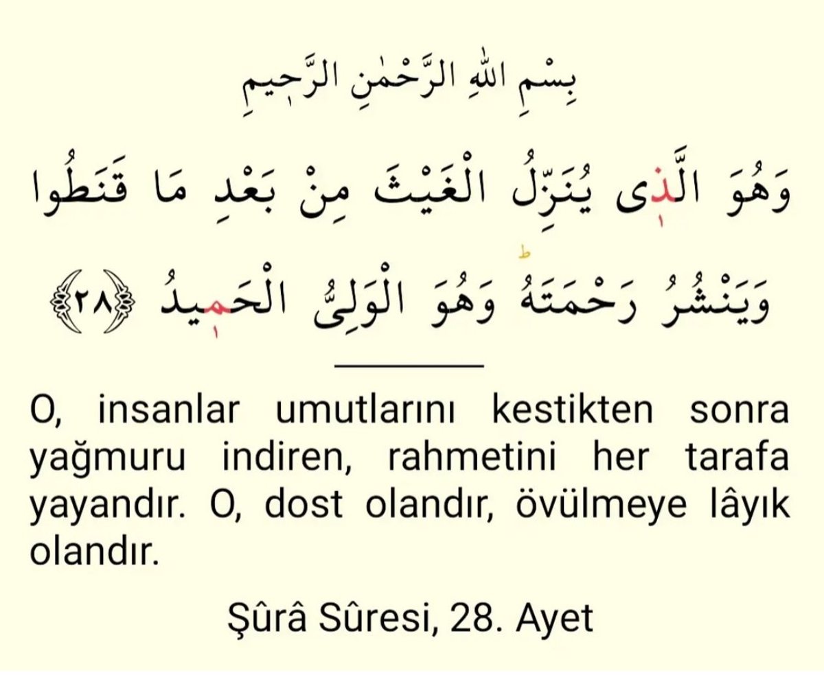 Şûrâ Sûresi 28.Ayet