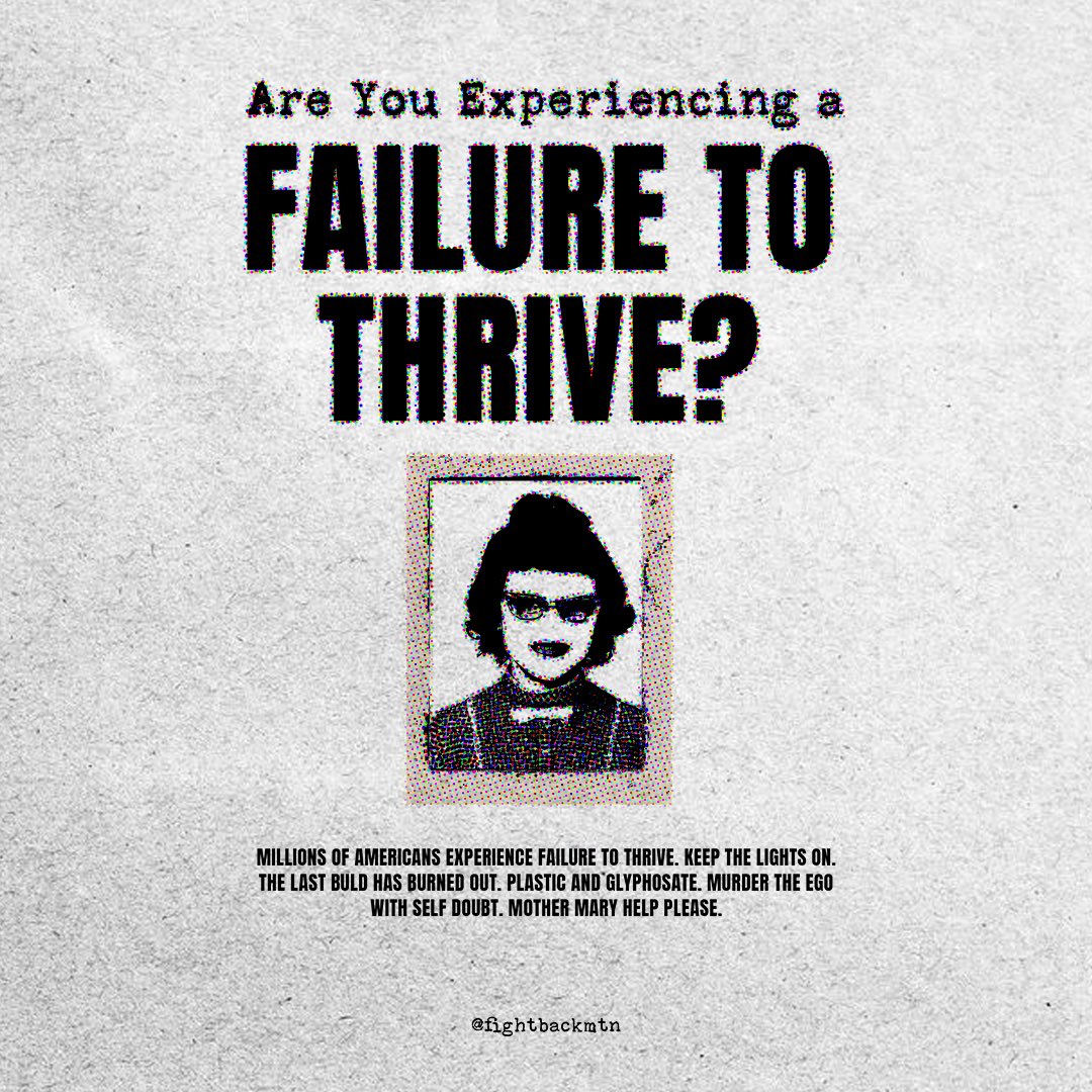 Fight Back Mountain tweet media