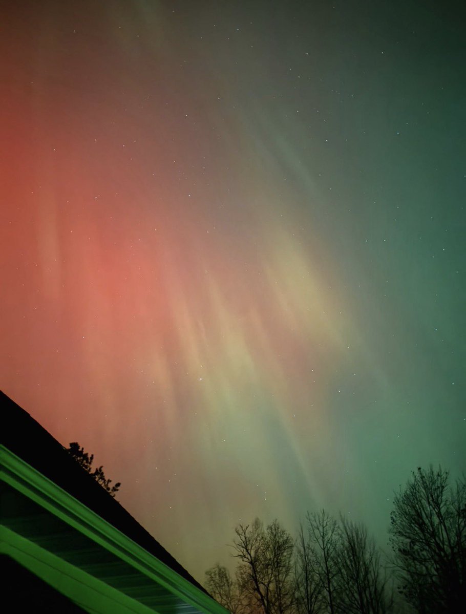 RobMetax's tweet image. Good night 🌙 

Say it back?