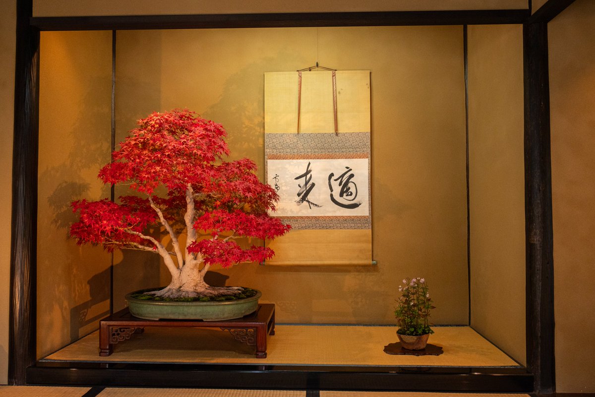 ゆっきー#2 (@YJ3nruVfND1r2M8) / Posts / X