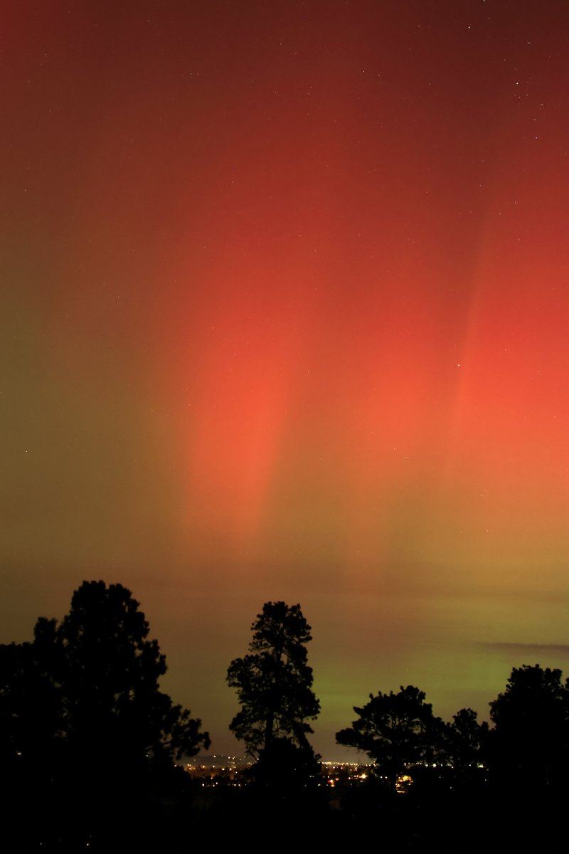 Bob Zellar tweet media