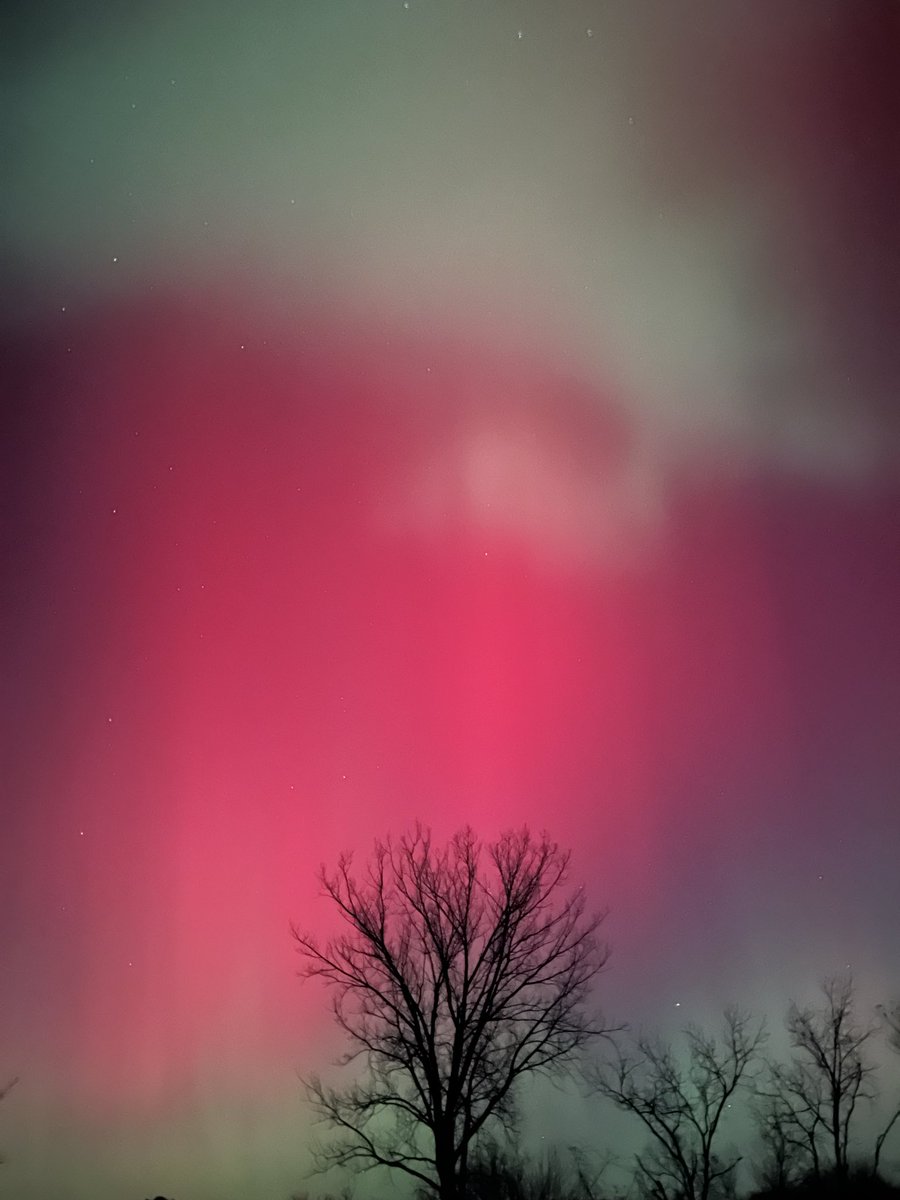 Andrew Ansorge tweet media