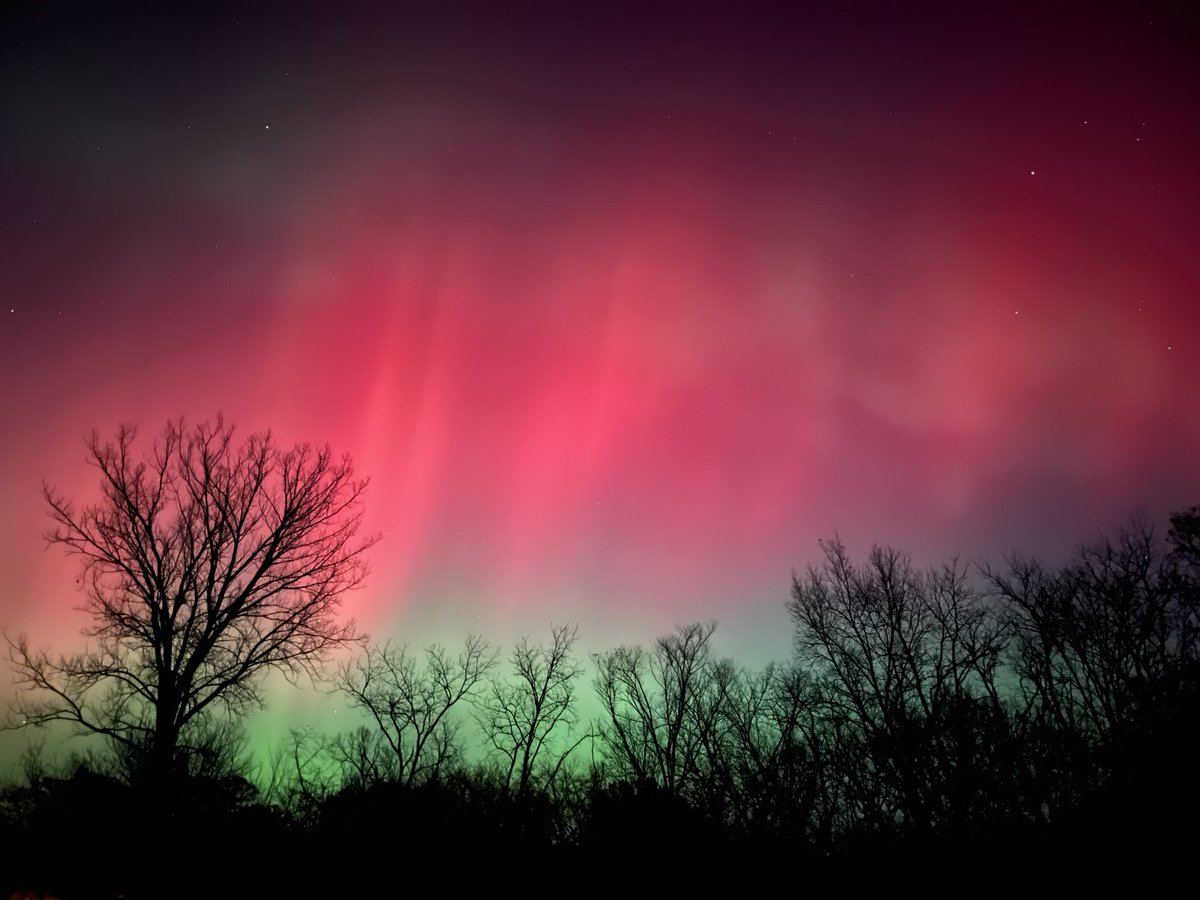 Andrew Ansorge tweet media