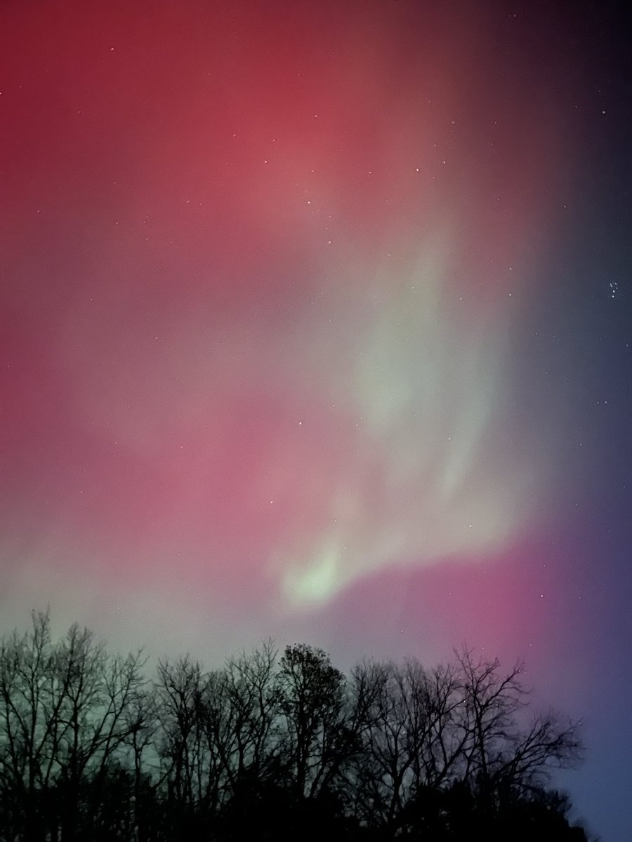 Andrew Ansorge tweet media