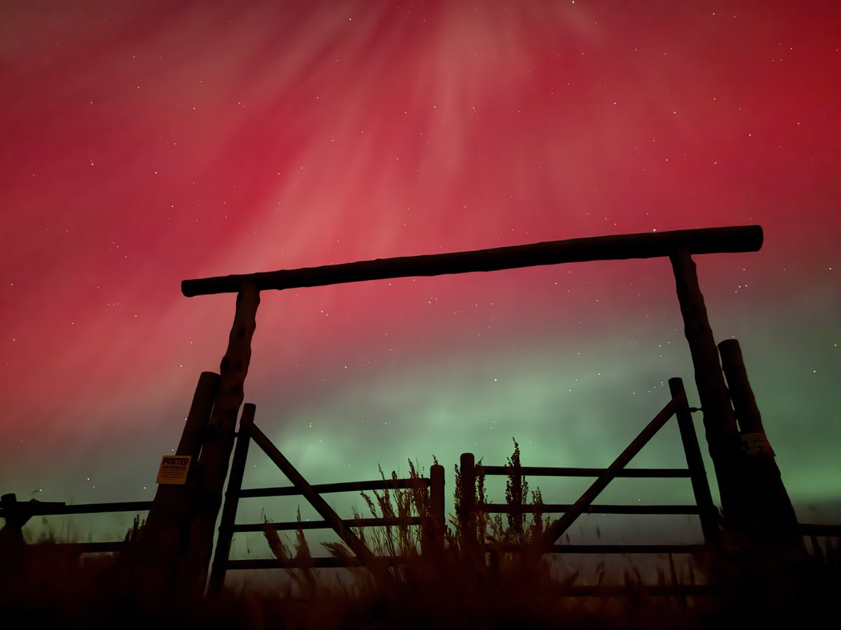 Keith Rhebb tweet media