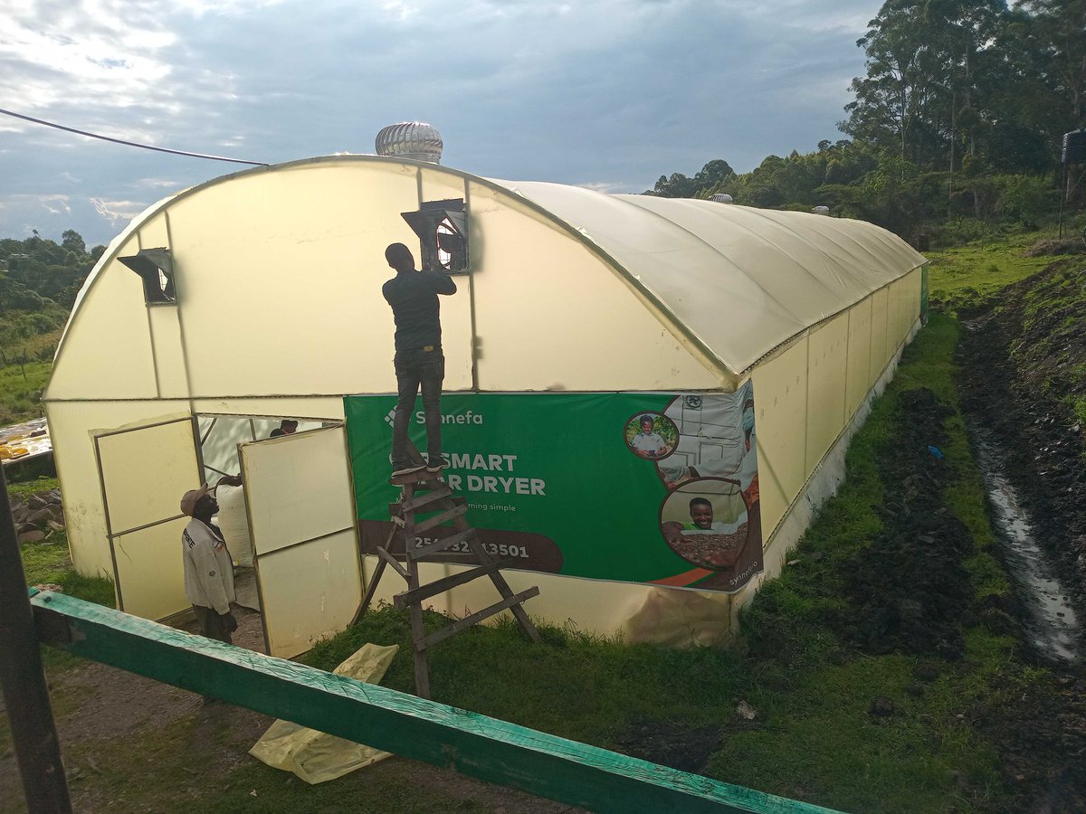 taitangetich's tweet image. Bumper coffee harvest in Kenya 🎉

We are doing preventive maintenance and its always exciting to find our dryers full to capacity

This co-op has more coffee than we can dry and they can&apos;t dry under the sun due to the rains. See the clouds?
#postharvestlosses #solardryers