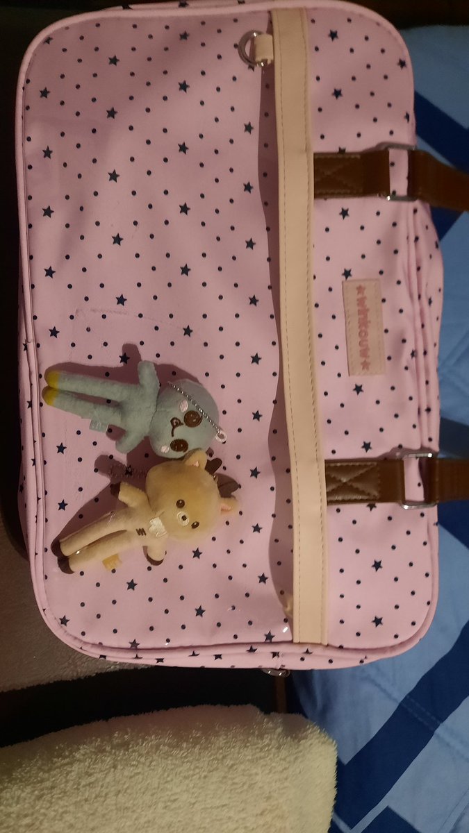 Hoy me llego mi bolsa para Riize , pasen tips para que no se vea tan vacía 😭😭